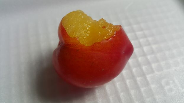 Closeup view of red plum on a white grey background. Freshly harvested plum making heart shape appearance in the view from angle.
