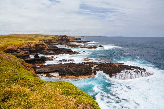 The Nobbies and surrounding landscape during mating season for seagulls on a warm spring day in Philip Island, Victoria, Australia