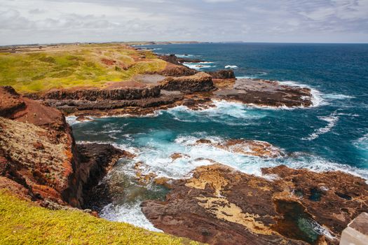 The Nobbies and surrounding landscape during mating season for seagulls on a warm spring day in Philip Island, Victoria, Australia