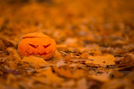 Orange Autumn leaves and halloween pumpkin, background with copy space for text