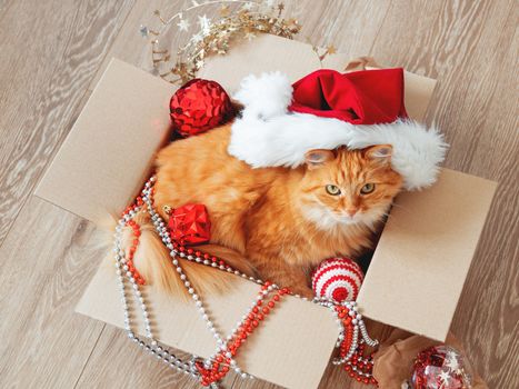 Cute ginger cat lies in box with Christmas and New Year decorations on wooden background. Fluffy pet with red Santa Claus hat. Fuzzy domestic animal during winter holiday preparation.