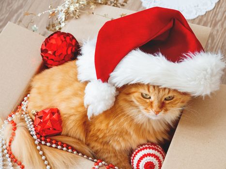 Cute ginger cat lies in box with Christmas and New Year decorations on wooden background. Fluffy pet with red Santa Claus hat. Fuzzy domestic animal during winter holiday preparation.