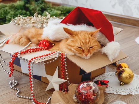 Cute ginger cat lies in box with Christmas and New Year decorations on wooden background. Fluffy pet with red Santa Claus hat. Fuzzy domestic animal during winter holiday preparation.