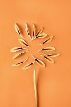 Composition with yellow daisy petals and stem on orange background  macro lens ,