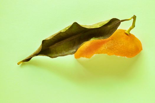 Part of orange tangerine peel with green leaf on colored background , studio shot