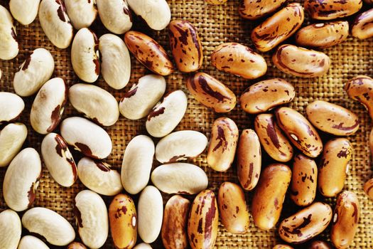 Heap of white beans and kidney beans on brown background ,creamy white cannellini -type beans with reddish spot around the hilum and red beans also called borlotti or pinto