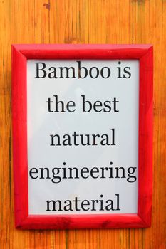 White Frame with bamboo importance quote on stripe background 