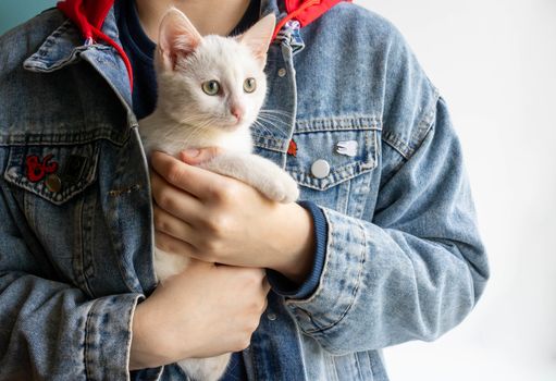 Little white kitten warms up in her arms.