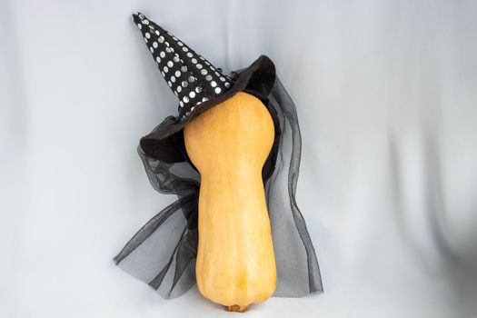 Fresh elongated pumpkin on a blue background in a witch's hat. The concept of harvest, Halloween.