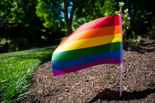 A Small Rainbow Flag in Black Mulch on a Suburban Front Lawn