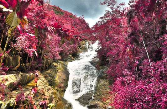 Beautiful pink and purple infrared shots of palm trees on the Seychelles