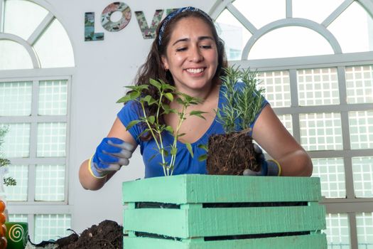 Woman transplanting plant a into a new pot. Young businesswoman transplanting plants in flowerpots. people, gardening, flower planting and profession concept - close up of woman or gardener