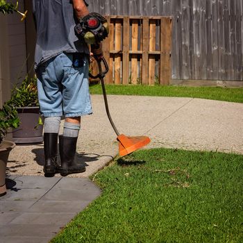 An elderly man trimming the edges of his garden lawn by machine, sweating on a very hot tropical day