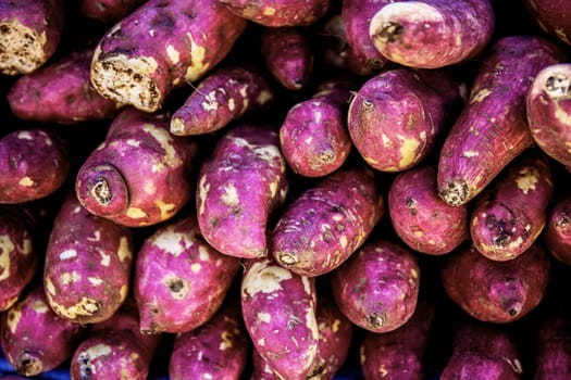 Texture of yam with the colorful background.