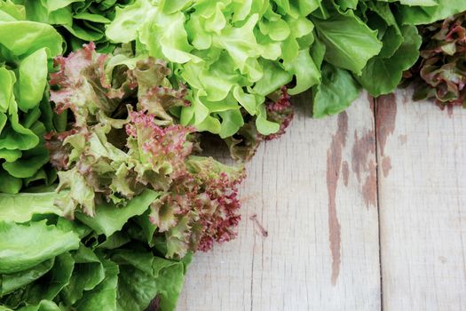 Vegetables of organic on wooden with background.