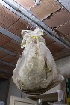 cured ham hanging in the cellar ready for cutting