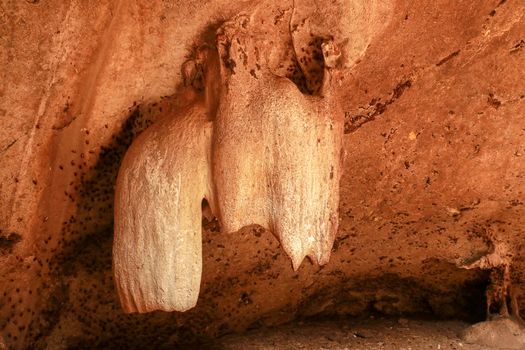 Limestone stalactites, stalactites in the bat cave of Goa Bangkang Prab, Lombok, Indonesia.