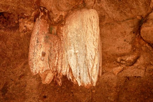 Limestone stalactites, stalactites in the bat cave of Goa Bangkang Prab, Lombok, Indonesia.