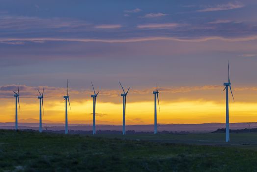 Wind Turbines in field against sunset sky, Spain