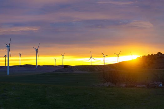 Wind Turbines in field against sunset sky, Spain