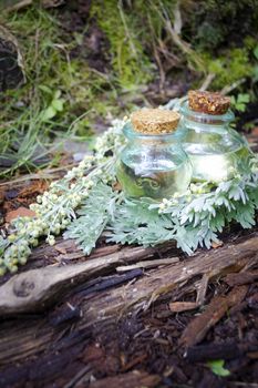 Bottles with essential oil and wormwood leaves on a wooden background closeup, vertical image