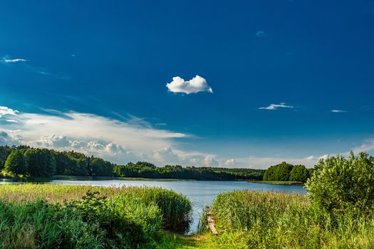 Countryside Lake and Forest Panorama. Sunny Summer Landscape With Blue Sky and White Clouds.