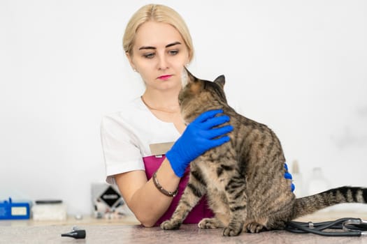 young beautiful girl vet hugs and soothes a cat before examination.