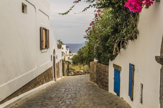 street of stones and white houses with colorful flowers and the sea tyrrhenian background panarea one of the Aeolian Islands