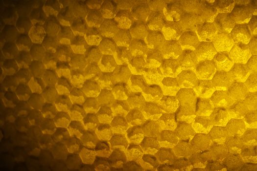 Wooden frame with honeycomb full of honey.