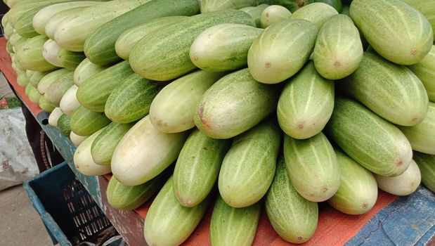 testy and healthy fresh cucumber closeup