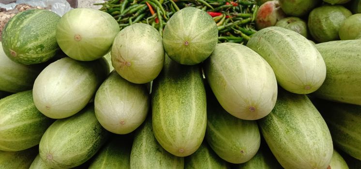 testy and healthy fresh cucumber closeup