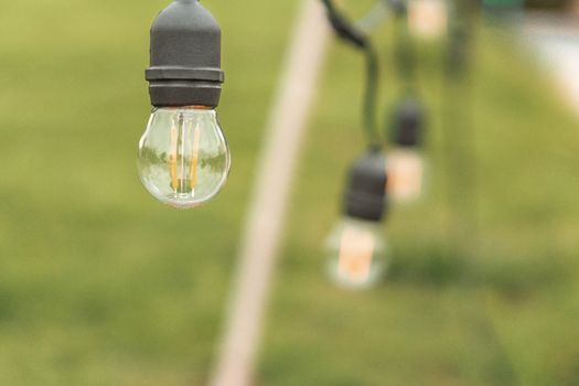 Light bulb on the green garden