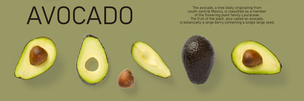 Modern creative avocado collage with simple text on solid color background. Avocado slices creative layout on olive background. Flat lay, Design elements, Food concept