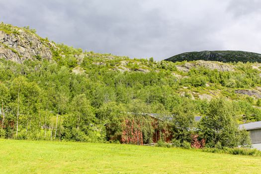 Beautiful Norwegian landscape with trees firs mountains and rocks. Norway Nature.