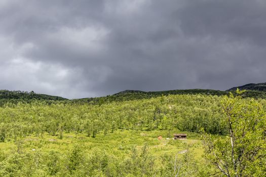 Lonely hut on a mountain in the forest in Hemsedal, Viken, Buskerud, Norway.