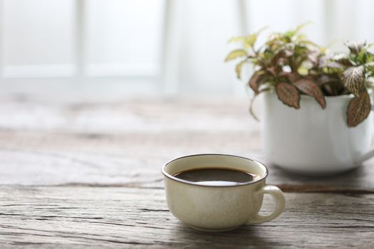 Coffee in vintage cup and plant on wooden table