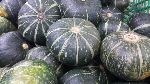 Heap of Green Pumpkin: A close-up view of large, fresh green pumpkins