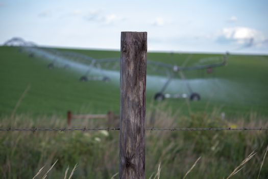 Sunny day Across Nebraska Fields . July 22, 2019, O'Nell, Holt county, Nebraska