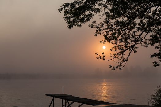 sunset in the early morning over the river maas in limburg in holland with the trees mist and hazy fog and wooden jetty as forground