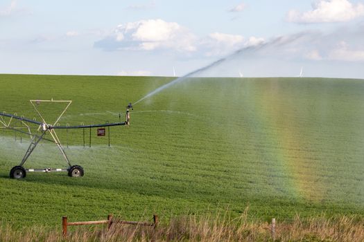 Sunny day Across Nebraska Fields . July 22, 2019, O'Nell, Holt county, Nebraska