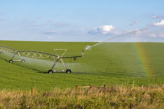 Sunny day Across Nebraska Fields . July 22, 2019, O'Nell, Holt county, Nebraska