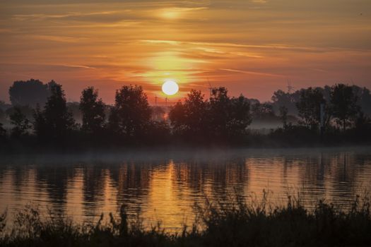 sunrise in the early morning over the river maas in limburg in holland with the trees mist and hazy fog