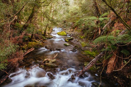Liffey Falls in Liffey Falls State Reserve on a cold winter's morning in Tasmania, Australia