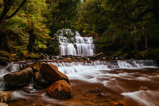 Liffey Falls in Liffey Falls State Reserve on a cold winter's morning in Tasmania, Australia