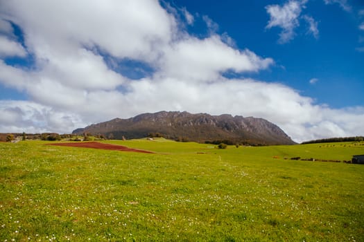 The stunning Mt Roland in central Tasmania near the town of Sheffield in Tasmania Australia