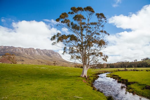 The stunning Mt Roland in central Tasmania near the town of Sheffield in Tasmania Australia