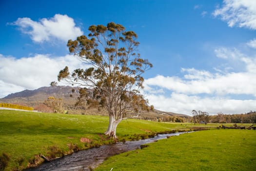The stunning Mt Roland in central Tasmania near the town of Sheffield in Tasmania Australia