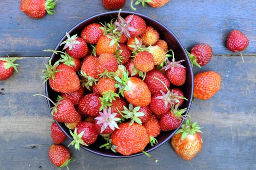 Still life with lot of ripe appetizing strawberries collected in the round bowl on vintage wooden table as background top view close up