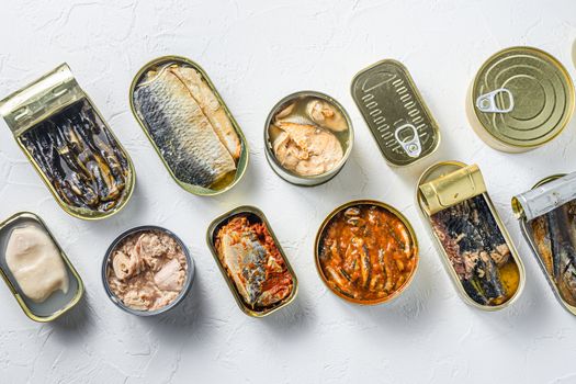 Cans with different preserve of fish and conserve seafood, opened and closed cans with Saury, mackerel, sprats, sardines, pilchard, squid, tuna, over white stone surface top view.
