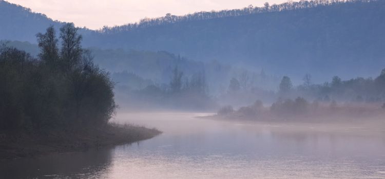 Rain in the taiga over the river. Cloudy weather in the forest.